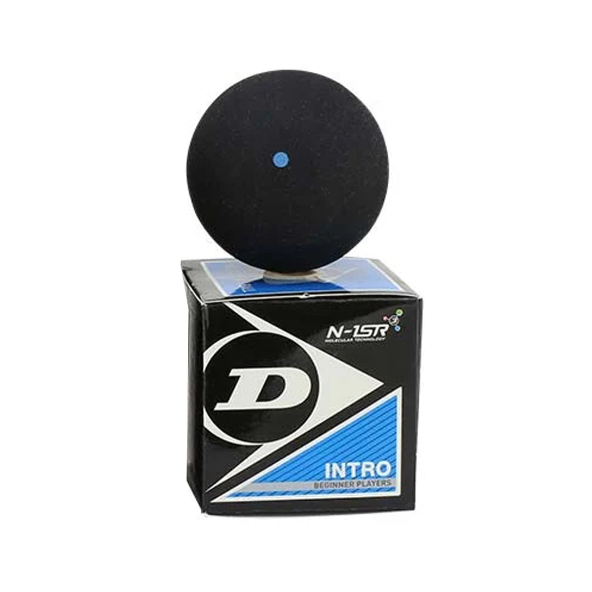 Dunlop Intro Squash Ball (Blue Dot)