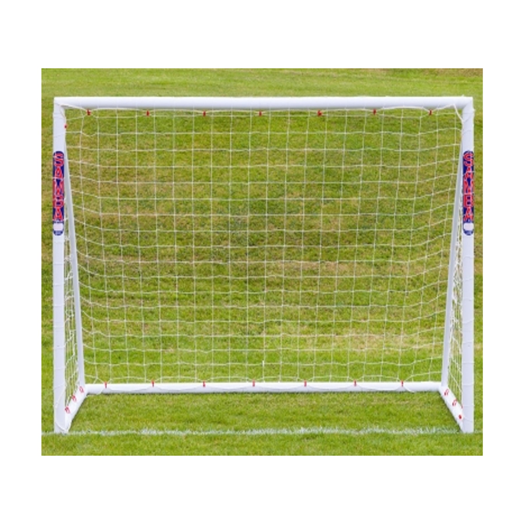 Samba Training Goal