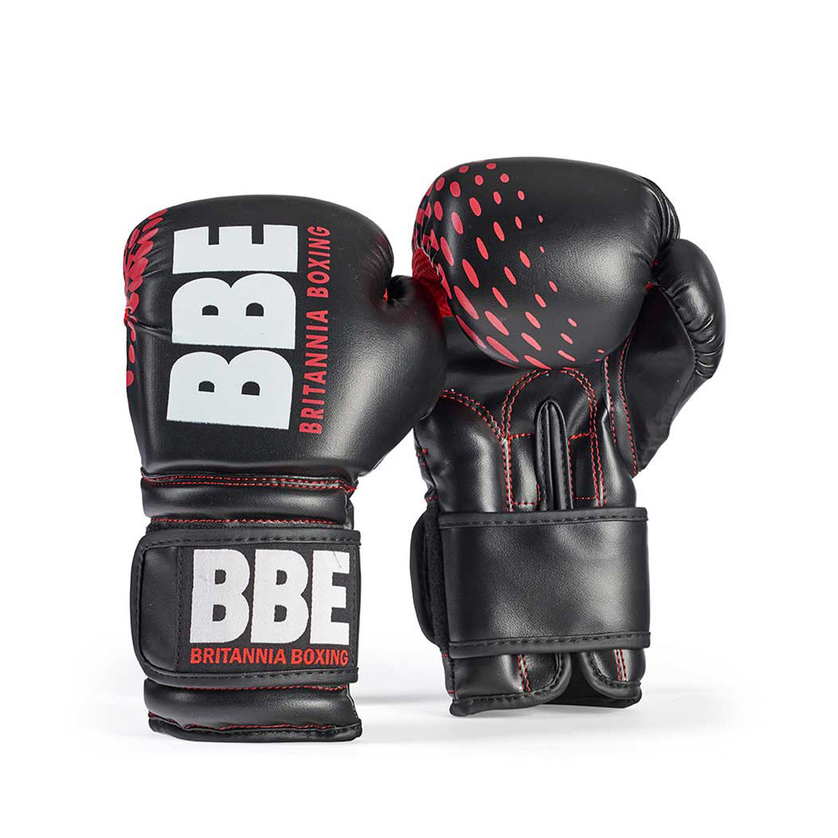 BBE FS Training Bag/Gloves