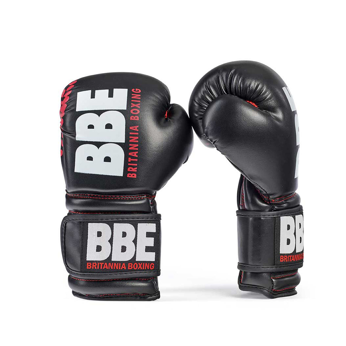 BBE FS Training Bag/Gloves