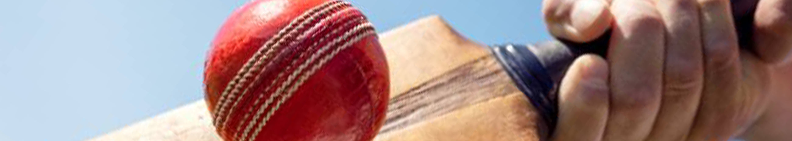 Cricket Coaching Balls