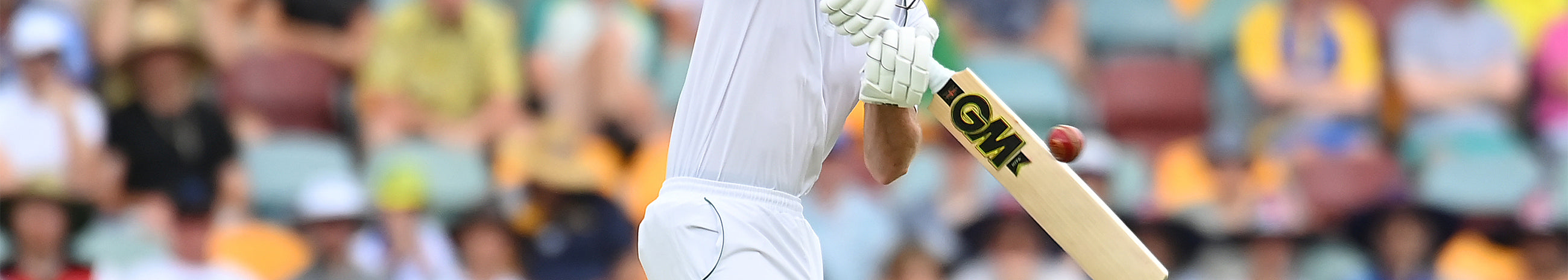 Cricket Match Balls