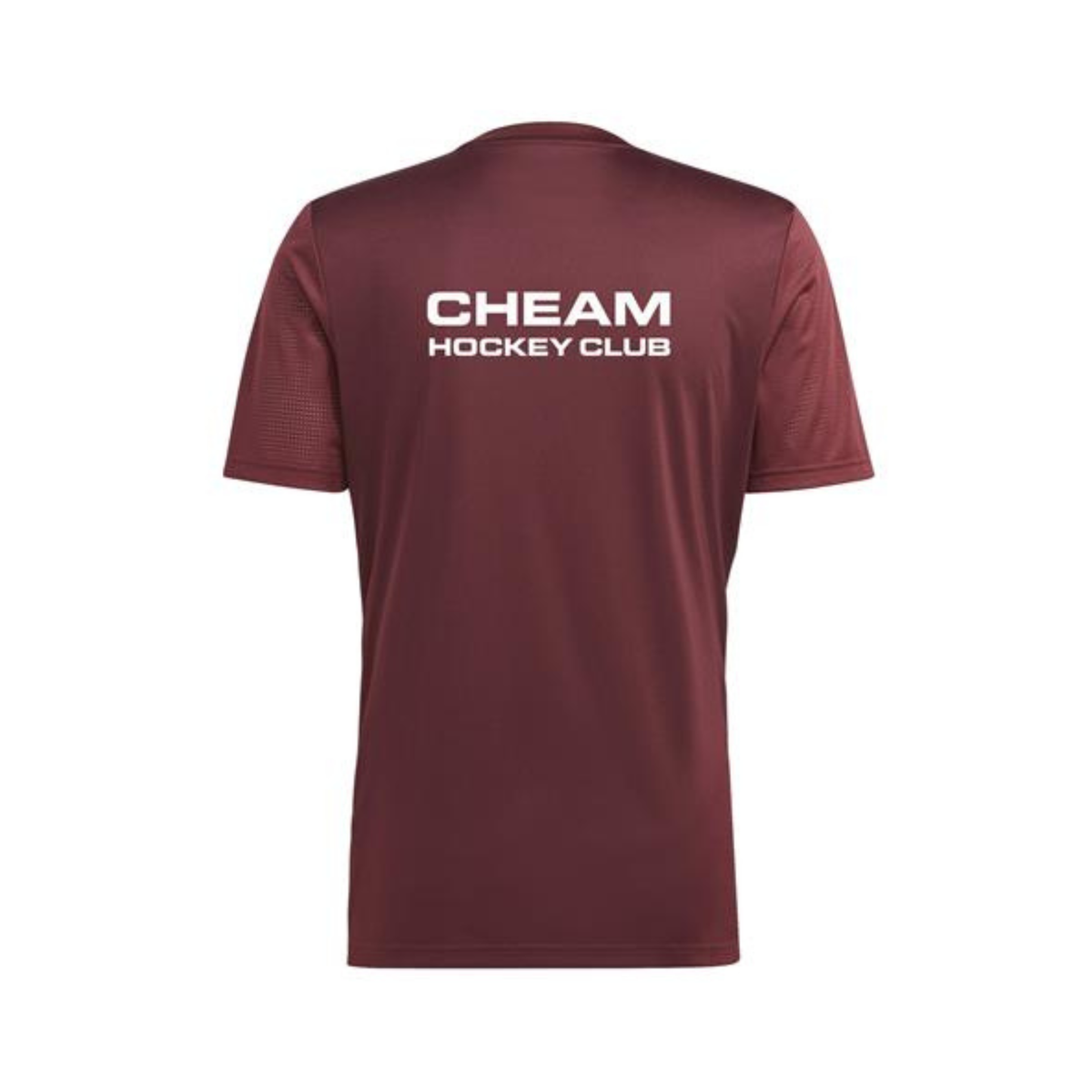 Cheam HC Men's Tabela 23 Short Sleeve Training Top: Burgundy