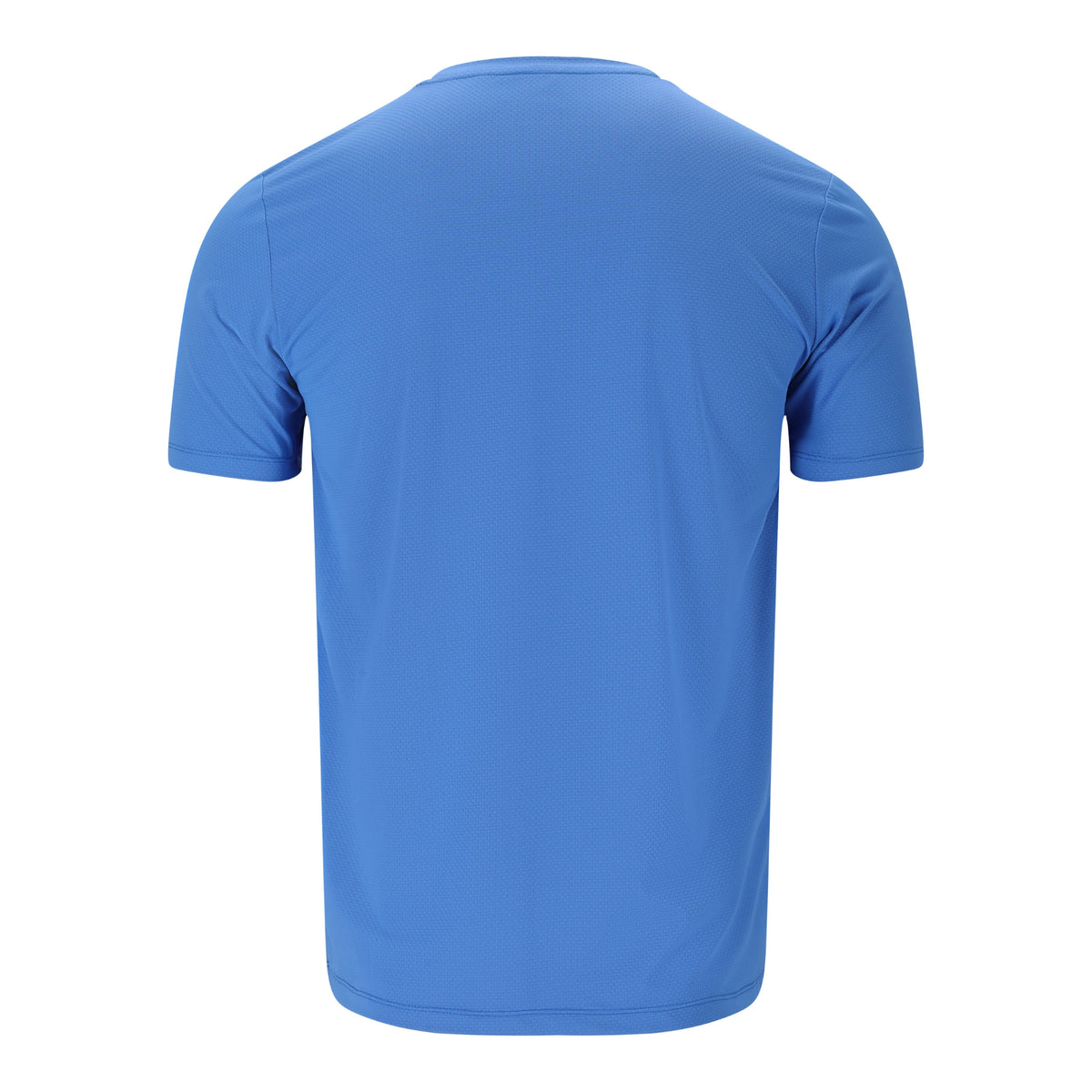 Virtus Roger Mens Hyperstretch Short Sleeve Tee: Regatta