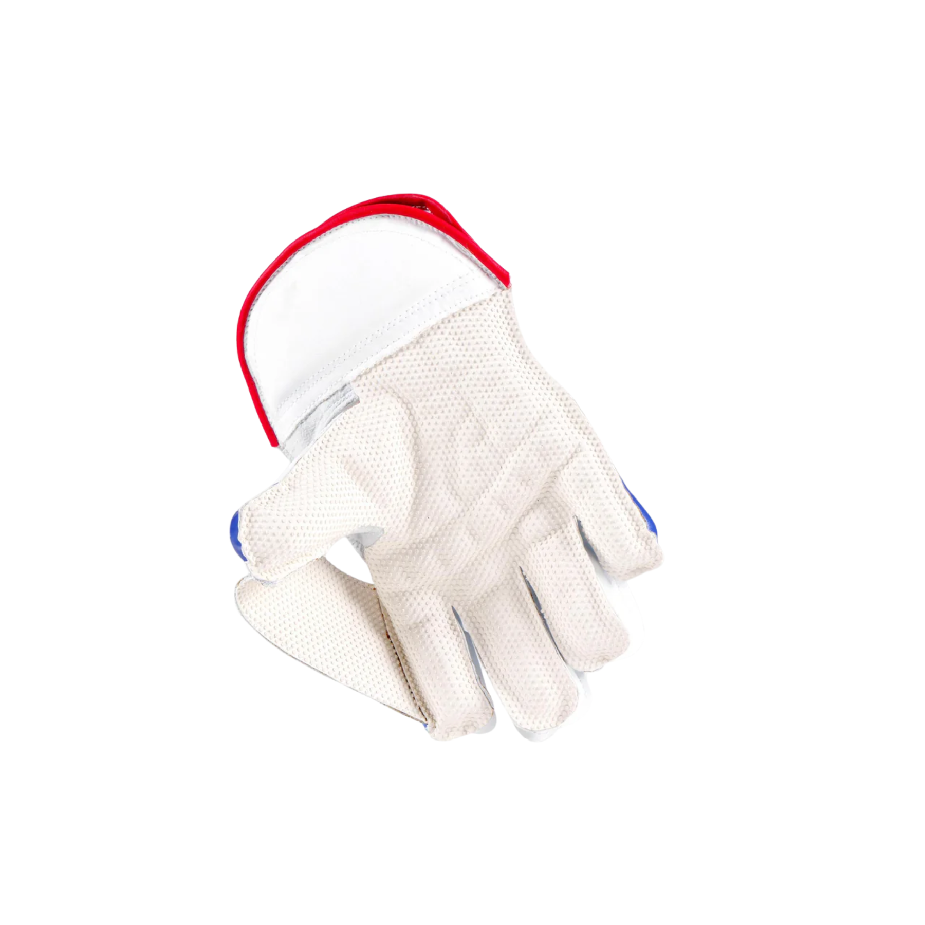 Gray Nicolls Classic Academy Wicket Keeping Gloves: White/Blue/Red