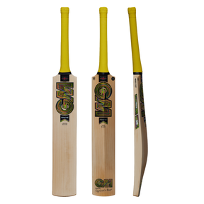 Gunn & Moore Psyche Delta DXM 404 TTNOW Cricket Bat - SH
