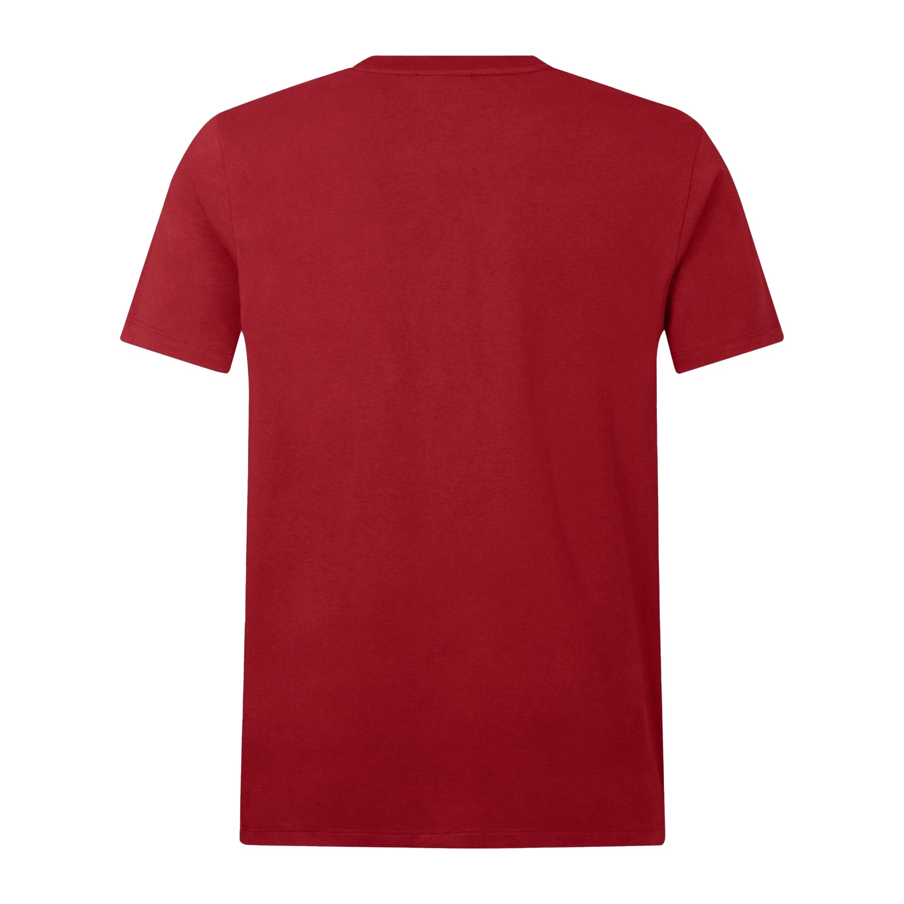 British & Irish Lions Rugby Cotton Jersey Tee: Red