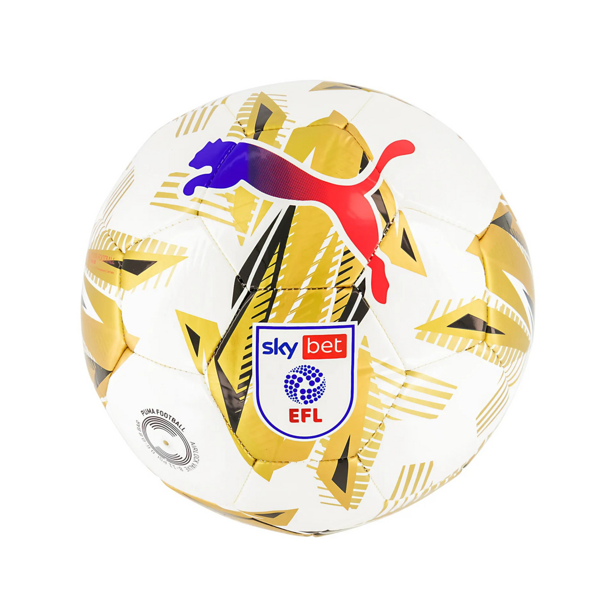 Puma Orbita 6 EFL Sky Bet Football: White/Gold
