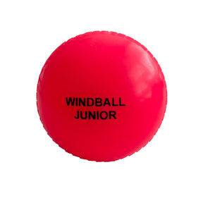 Salamander Windball Junior Cricket Ball: Pink