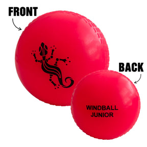 Salamander Windball Junior Cricket Ball: Pink