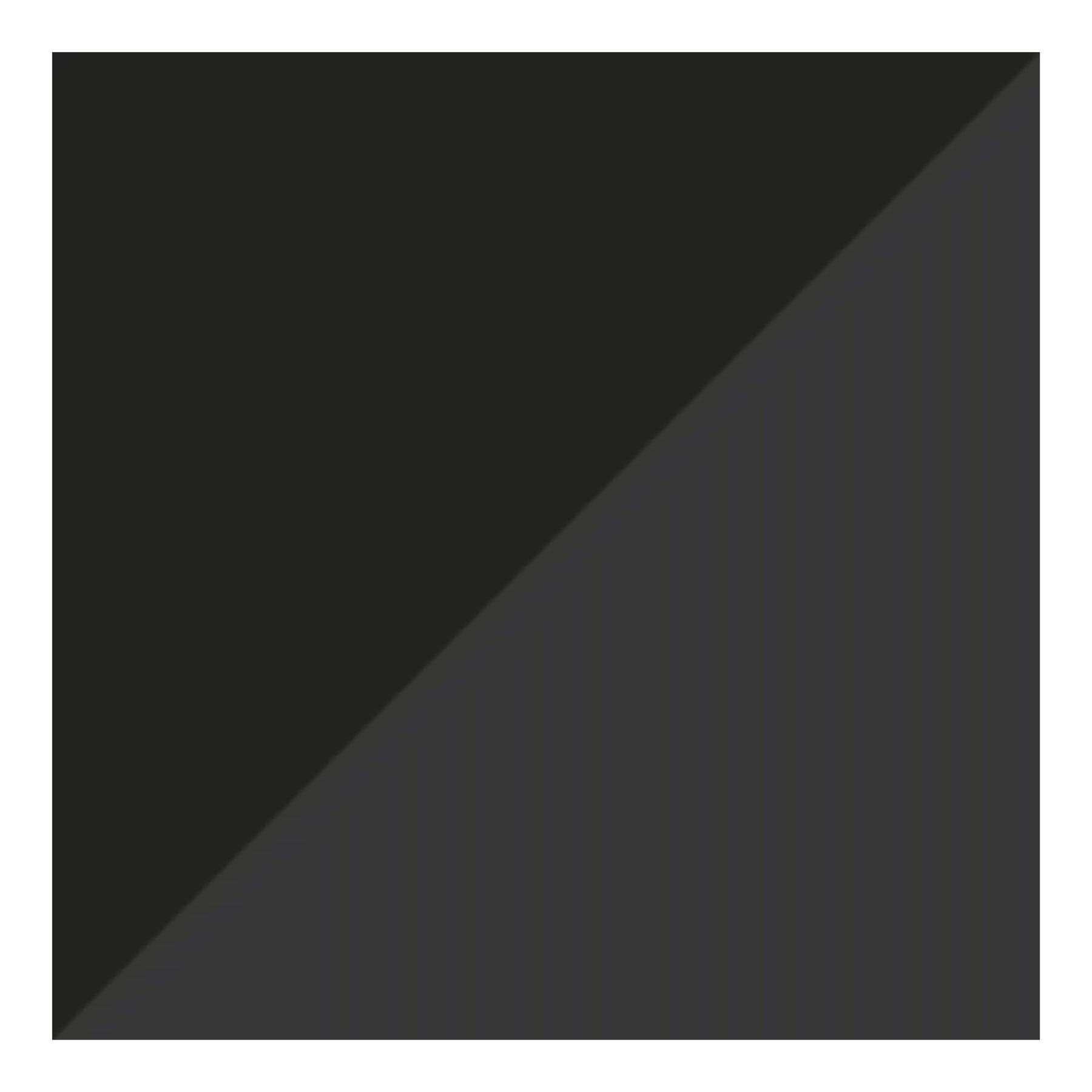 Puma Vitoria II FG/AG Football Boots: Black/White