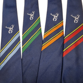 Furze Platt School Tie: