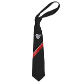 Great Marlow School Tie Red/Kites