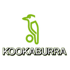 Kookaburra