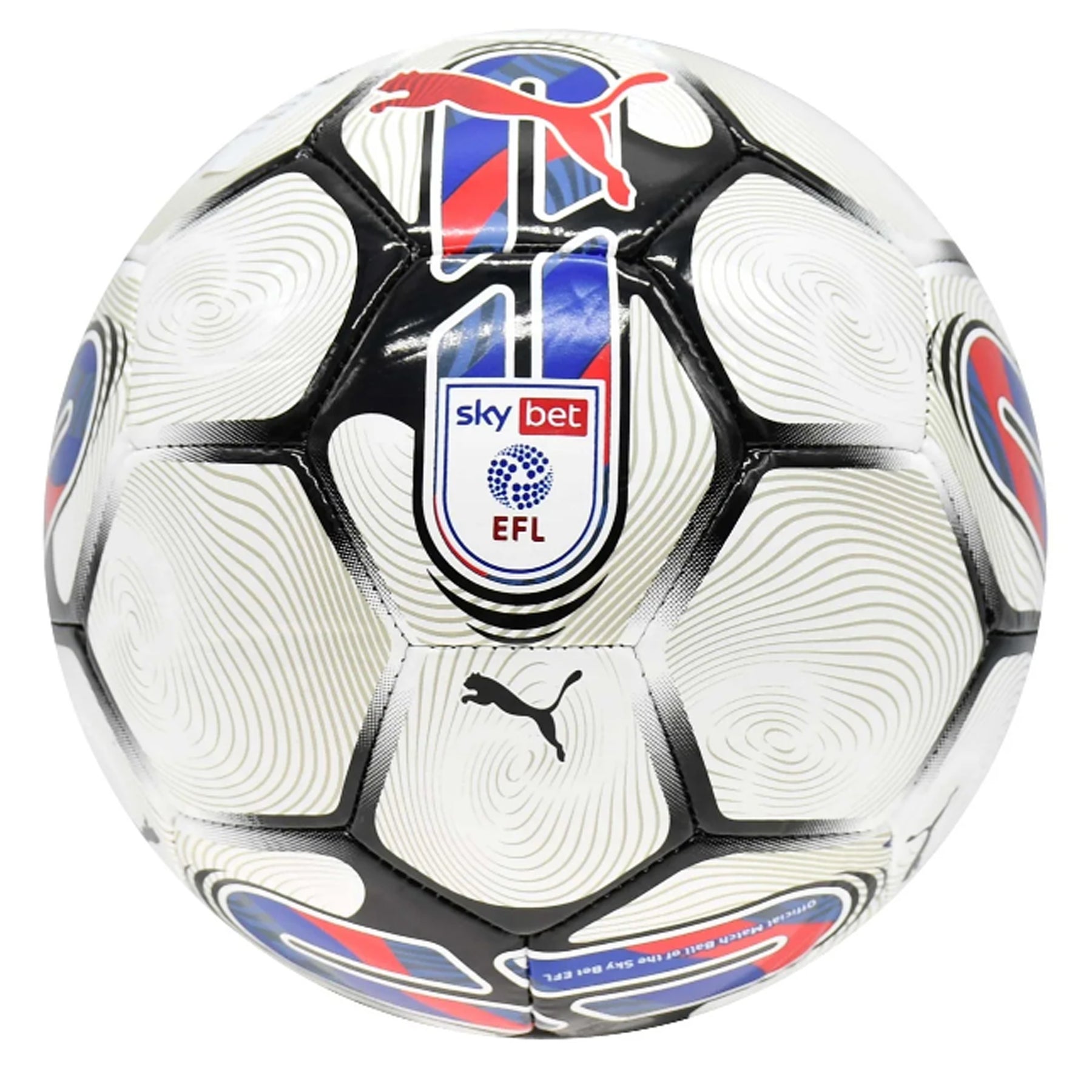 Puma Orbita EFL Football