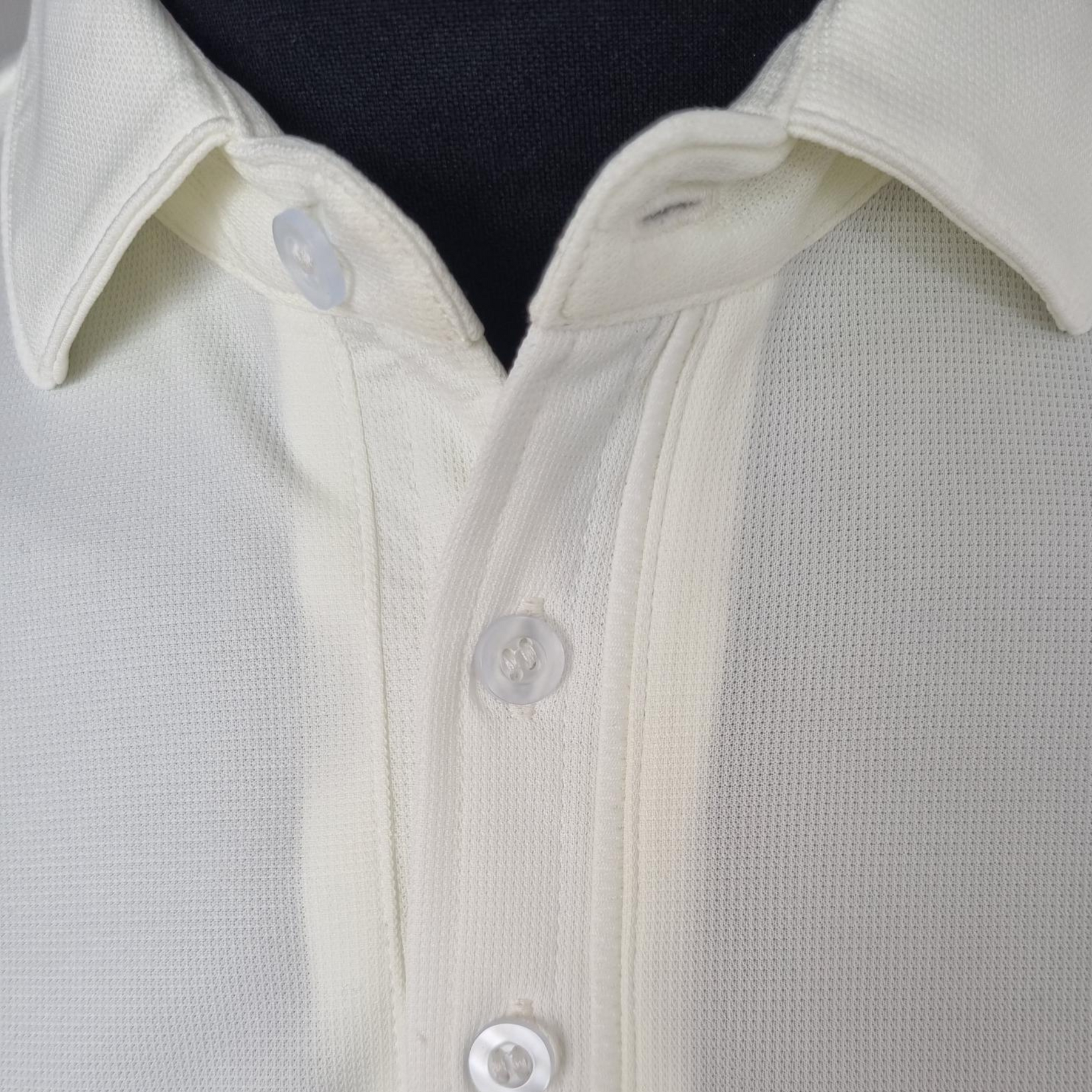 Salamander Short Sleeve Cricket Shirt: Cream Trim