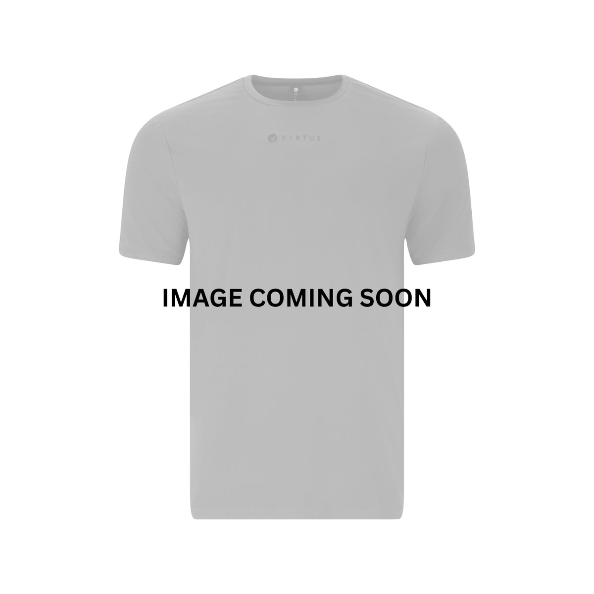 Virtus Roger V2 Mens Hyperstretch Short Sleeve Tee: Dried Sage