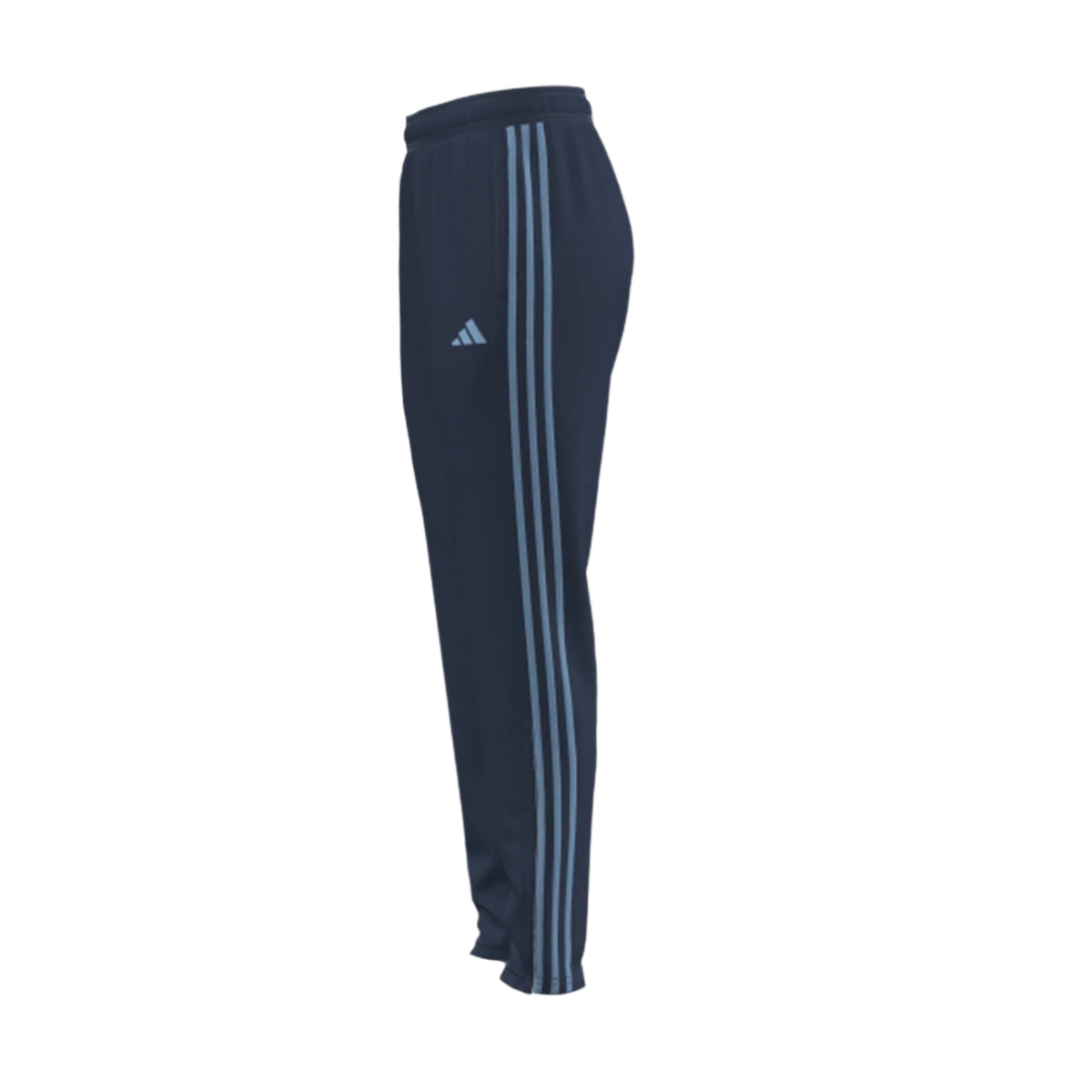 Reading HC Women's Training Pants