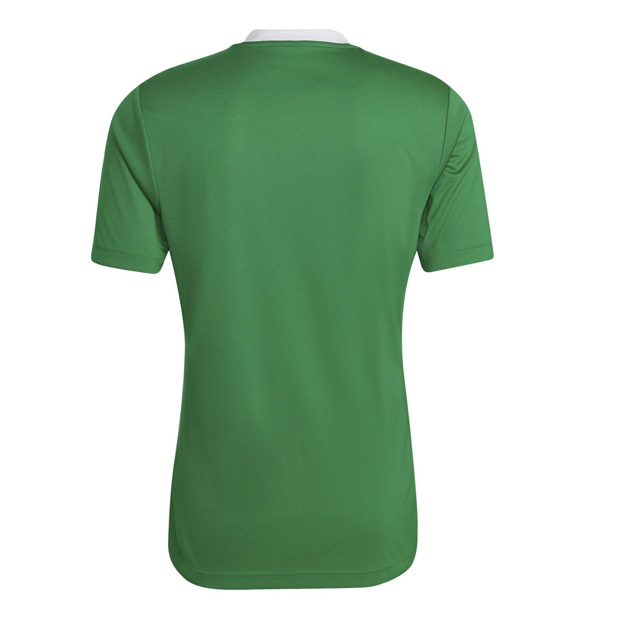 Wooburn Narkovians CC Adidas Training Shirt: Green
