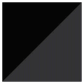 Puma Scend Pro 2 Junior Running Shoes: White/Black