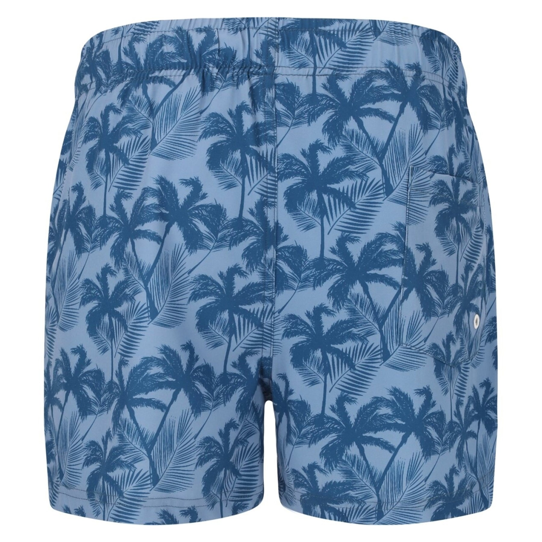 Cruz Werner Mens Beach Boardshorts: Blue Palm Tree