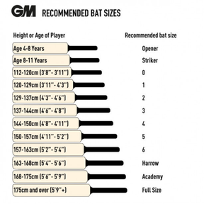 Gunn & Moore Psyche Delta DXM 404 TTNOW Cricket Bat - SH