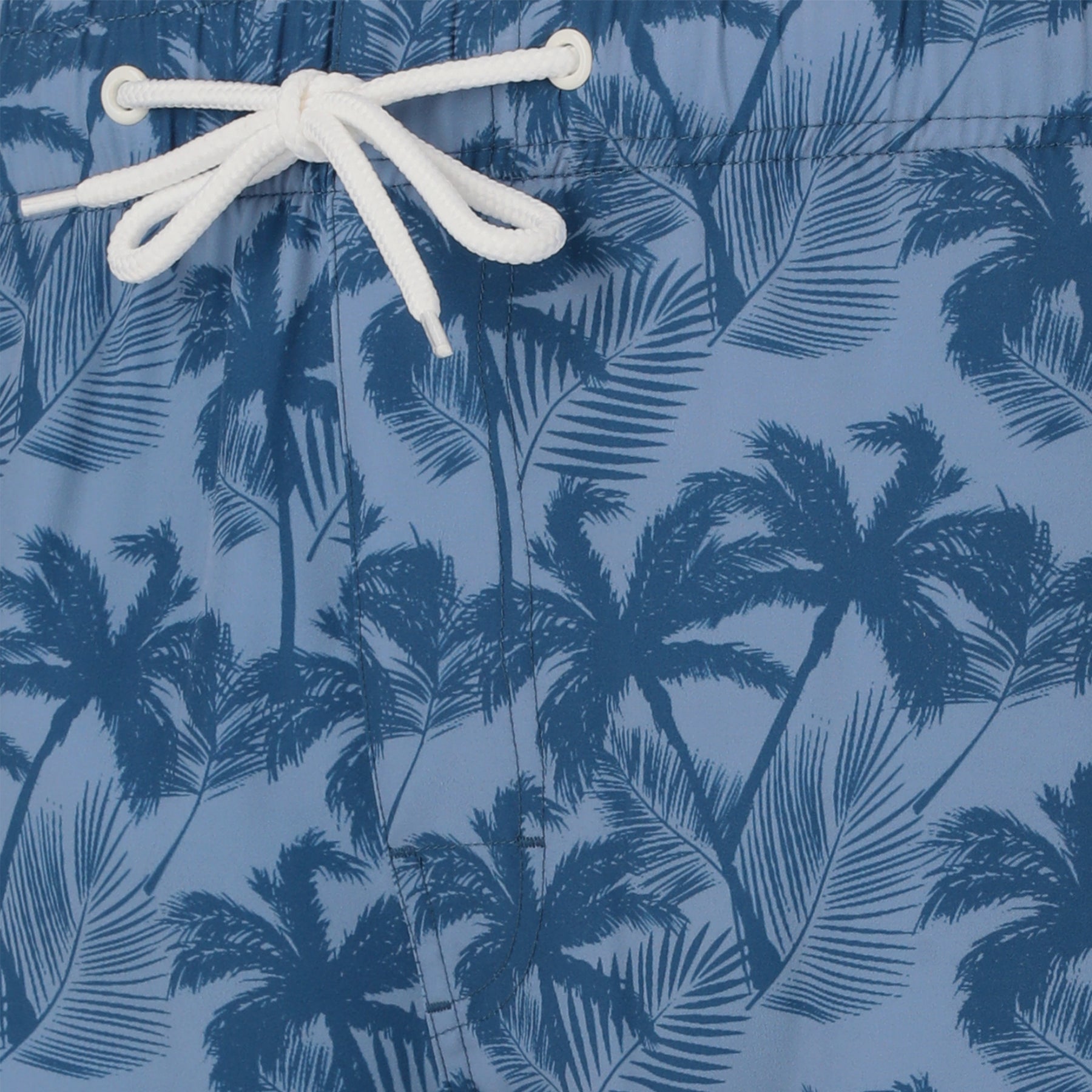 Cruz Werner Mens Beach Boardshorts: Blue Palm Tree
