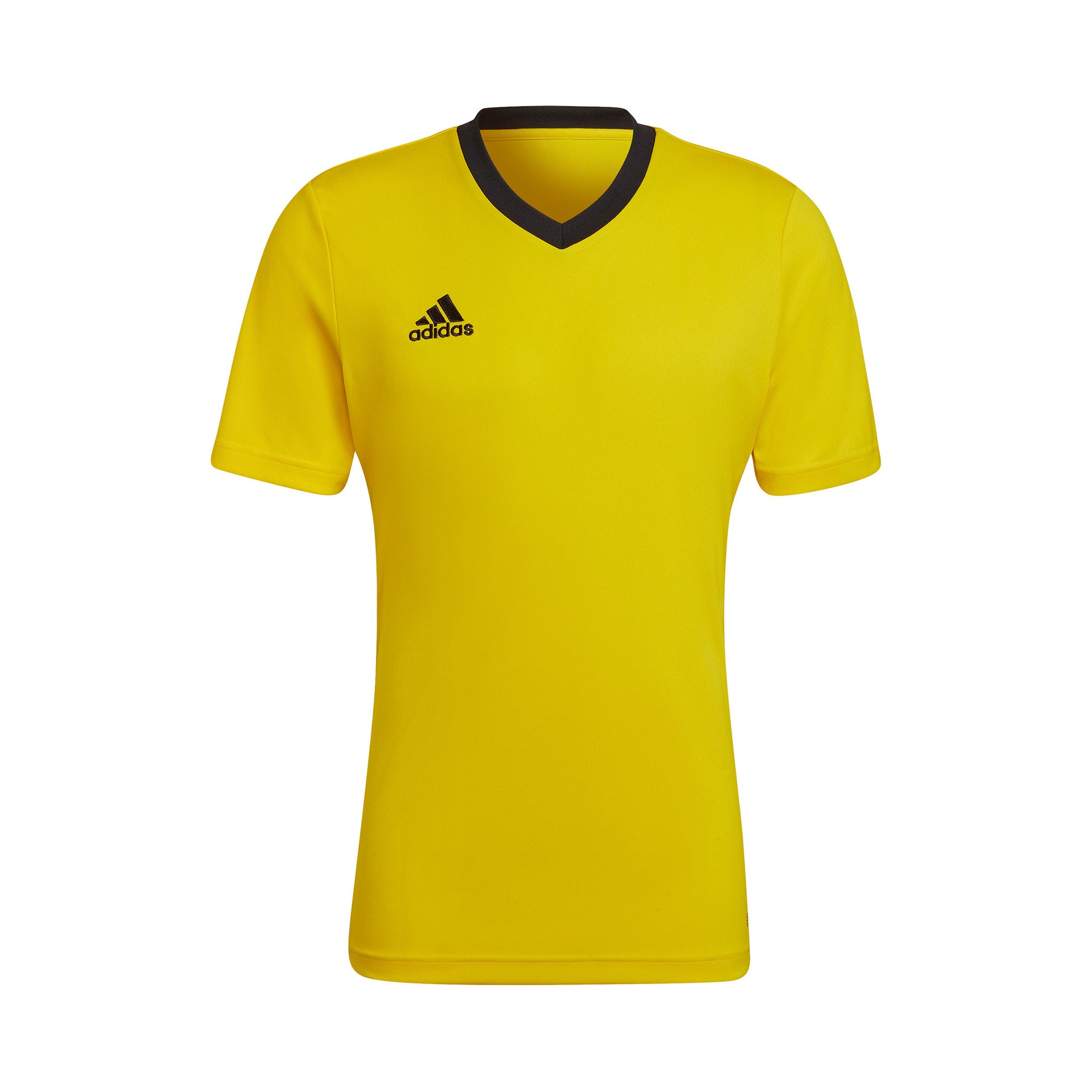 Entrada 22 Jersey: team yellow / black