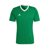 Entrada 22 Jersey: team green / white