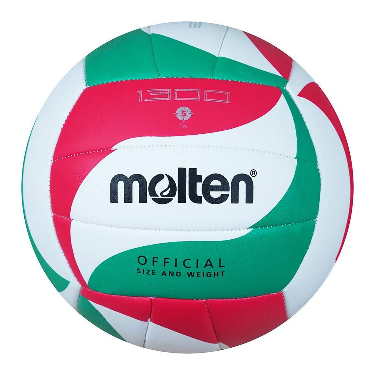 Volleyball  Molten VM1300 Size 5