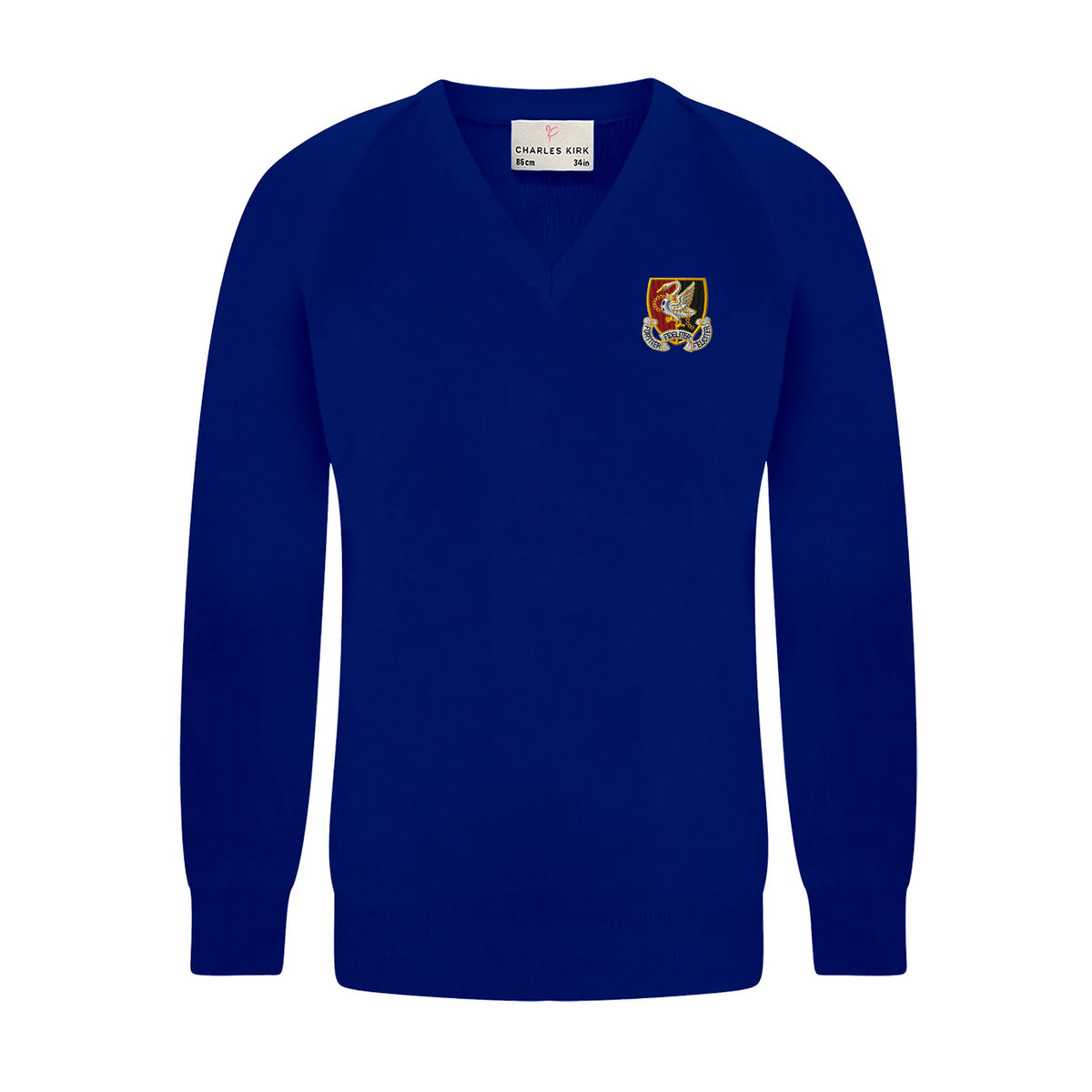 Wycombe High School V Neck Jumper: Blue