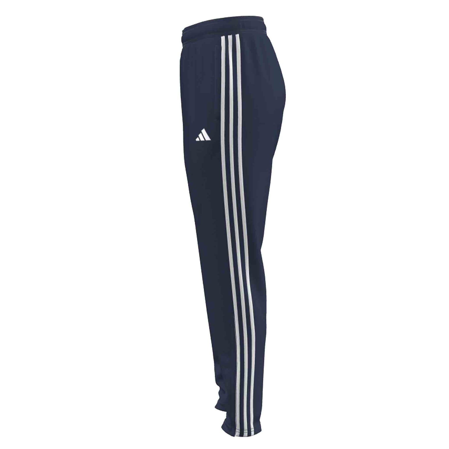 Hampstead and Westminster HC Women's Training Pants