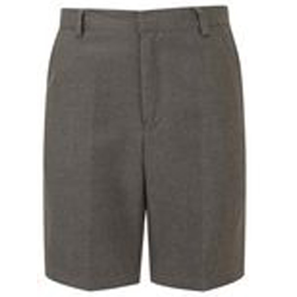 Shorts Bermuda Short: Grey