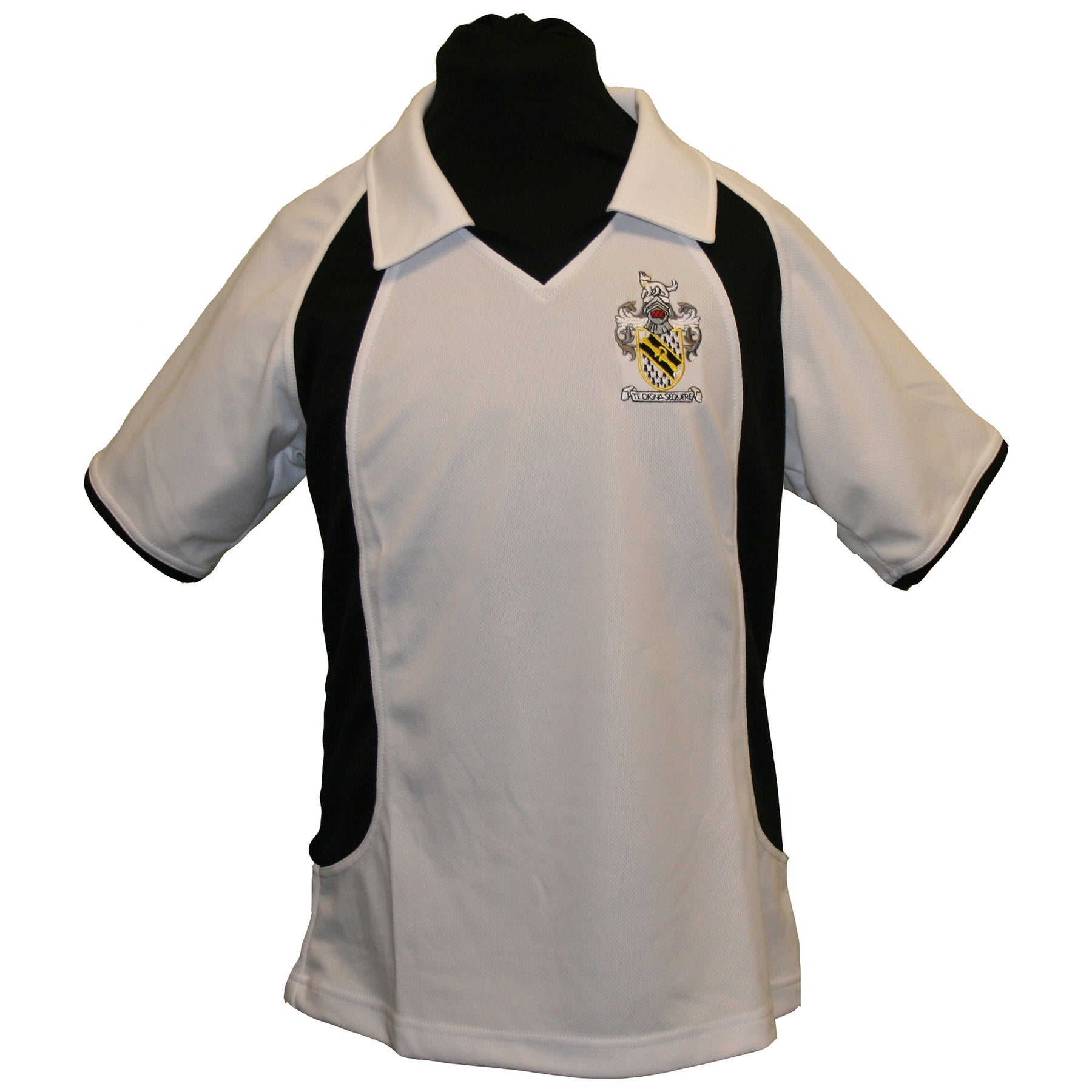Sir William Borlase Grammar School Girls Netball Polo