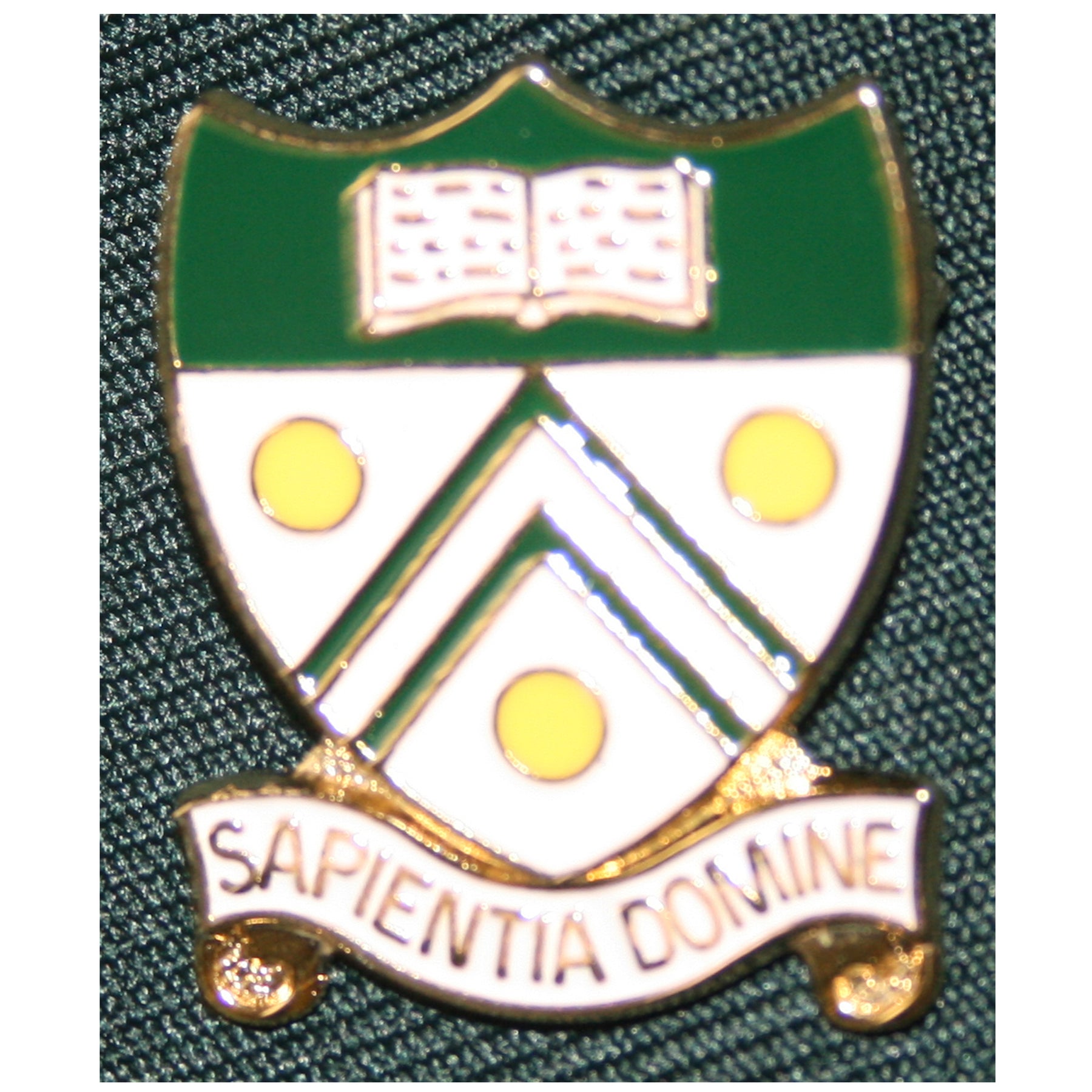 Langley Grammar School Jacket Badge