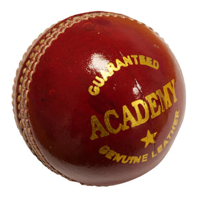 Salamander Academy Cricket Ball