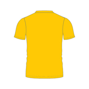 Desborough College House T: Yellow/Lion