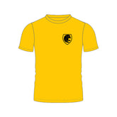 Desborough College House T: Yellow/Lion