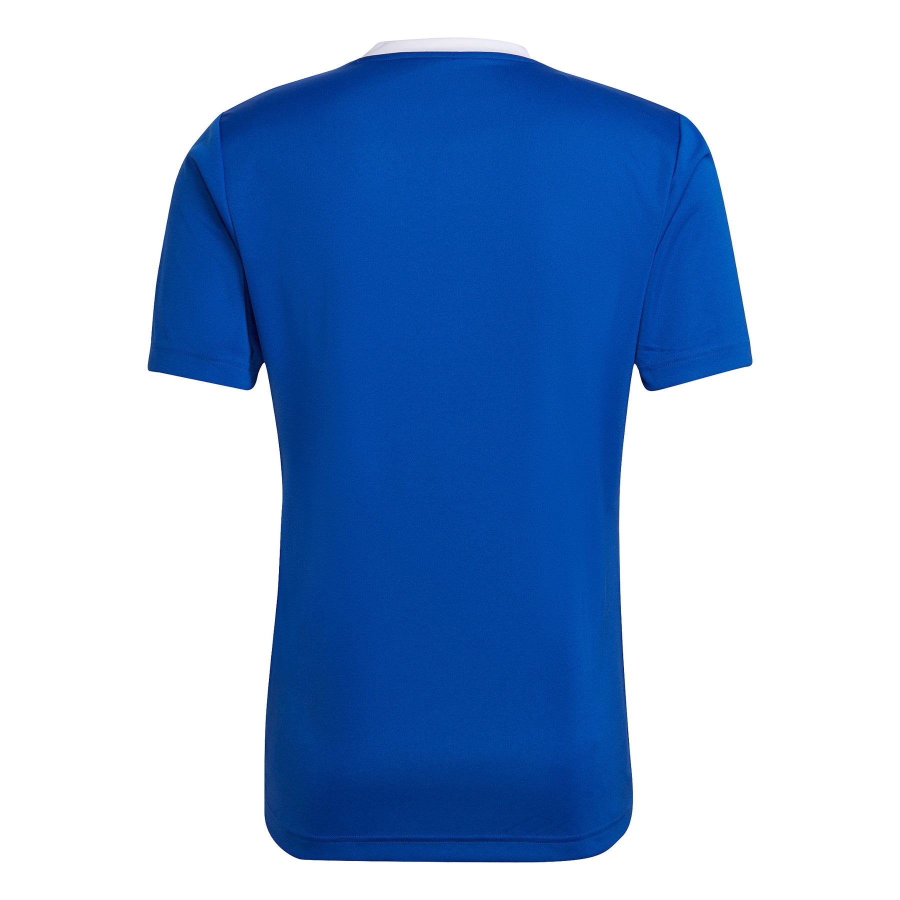 Hampstead and Westminster HC GK Jersey: Royal